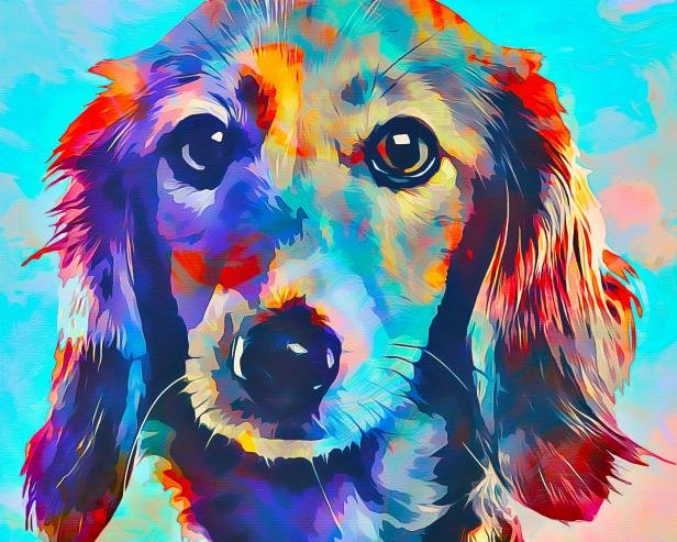 Pet portrait sale painting